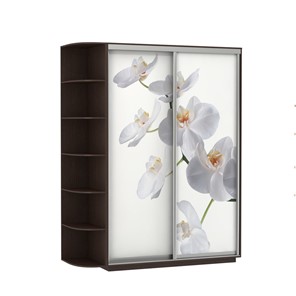 Шкаф 2-х створчатый Экспресс 1900x600x2200, со стеллажом, Орхидея белая/венге в Ставрополе