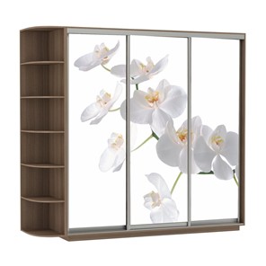 Шкаф 3-створчатый Экспресс со стеллажом, 2100х600х2200, Орхидея белая/шимо темный в Ставрополе