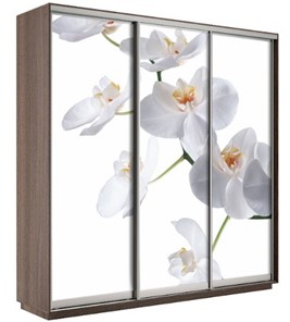 Шкаф 3-дверный Экспресс 2100х600х2200, Орхидея белая/шимо темный в Ставрополе