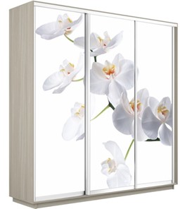 Шкаф 3-дверный Экспресс 2400х600х2200, Орхидея белая/шимо светлый в Ставрополе