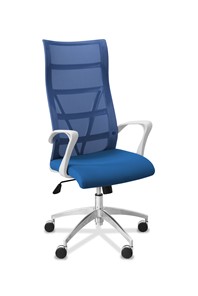 Офисное кресло для руководителя Топ X белый каркас, сетка/ткань TW / синяя/голубая в Ставрополе