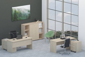 Комплект офисной мебели Twin для 2 сотрудников со шкафом для документов в Ставрополе