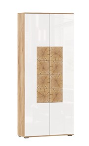 Шкаф двухстворчатый Фиджи с декоративными накладками 659.310, Дуб Золотой/Белый в Ставрополе