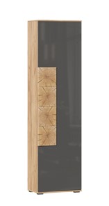 Шкаф одностворчатый Фиджи с декоративными накладками 659.300, Дуб Золотой/Антрацит в Ставрополе