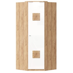 Шкаф угловой 45 с декоративной накладкой Фиджи, 659.248, белый в Ставрополе