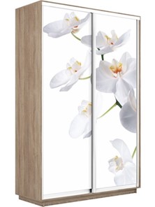 Шкаф 2-створчатый Экспресс 1600x450x2400, Орхидея белая/дуб сонома в Ставрополе