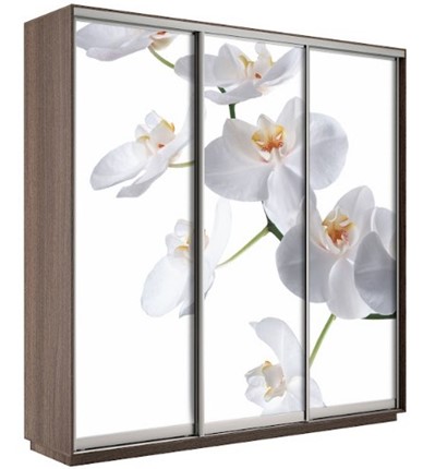 Шкаф 3-дверный Экспресс 2100х600х2200, Орхидея белая/шимо темный в Ставрополе - изображение