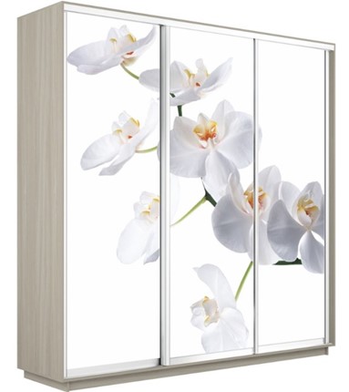 Шкаф трехдверный Экспресс 2400х600х2400, Орхидея белая/шимо светлый в Ставрополе - изображение